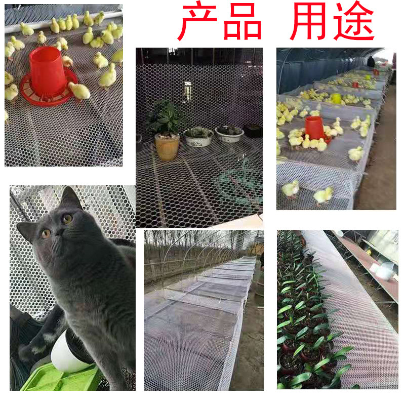 塑料养殖网养蜂塑胶网格围栏防护网片鸡鸭鹅养殖育雏脚垫漏粪网床