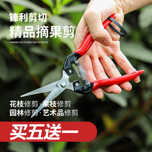 水果剪刀摘果剪采果翘头火龙果葡萄桔子蔬菜稀果剪疏果剪刀神器