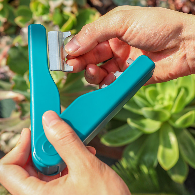 玫瑰花打刺钳打刺器夹子去刺宝去刺器神器鲜花店植物月季花艺工具