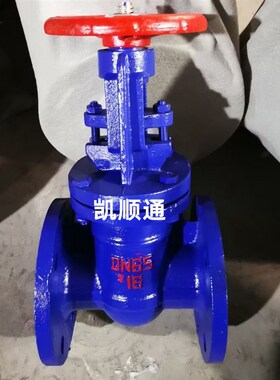HT200 明杆铸铁法兰铜杆铜芯防护闸阀DN50 65 80 100 150 200 250