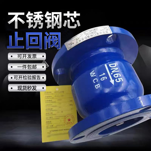 不锈钢芯消声止回阀HC41X法兰立卧式单向逆止阀DN40/50/65/80/100