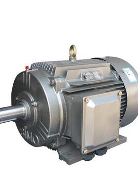 熔喷布一级能效电机YE5-315S-4  110KW 变频电机YVFE4-315S-6-75K