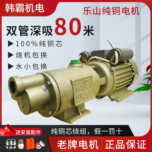 家用自吸泵深井抽水泵大吸力高扬程全自动自来水螺杆增压水泵220v