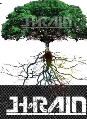 雨林缸水陆缸植纤棉苔藓植物附着棉保湿透气苔藓苔纤植纤棉