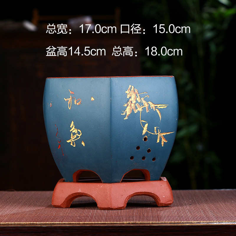 紫砂矮花盆君子兰文竹盆景盆特价兰花专用盆吸水透气陶瓷陶土盆