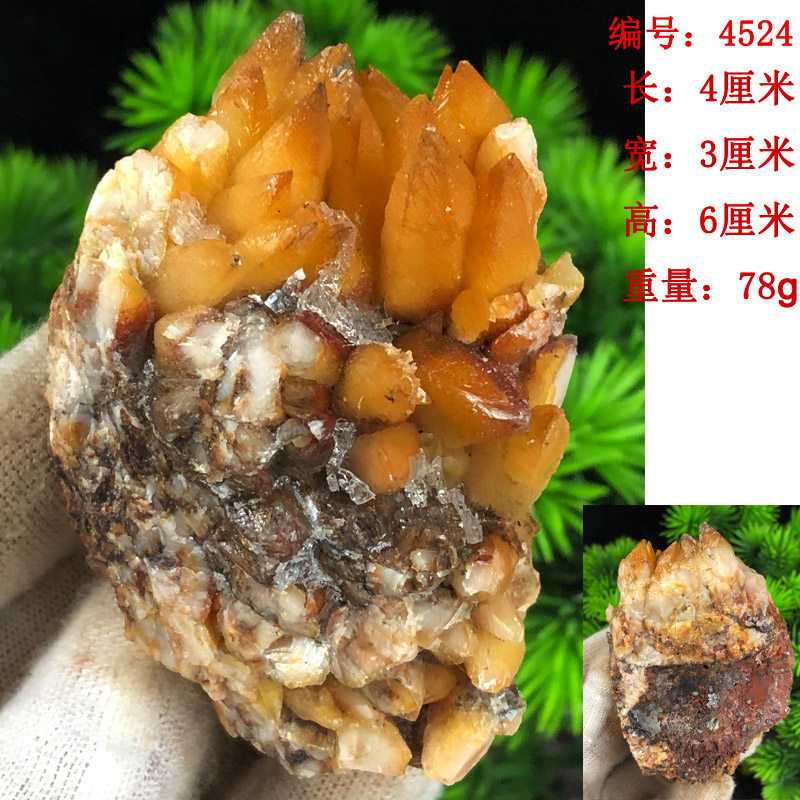 天然犬牙方解石晶簇石膏共生原石摆件矿物晶体教学地质科普标本