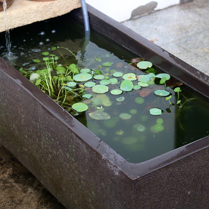 石头养乌龟仿天然动物摆件水培紫砂老桩做旧人像睡莲荷花缸土陶罐