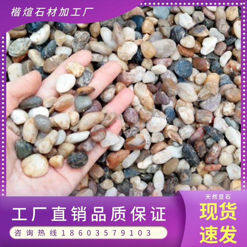 甘肃鹅卵石沼泽过滤石头地暖找平回填专用豆石水洗滤料水处理石子