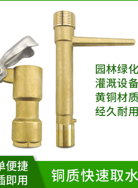 铜取水阀6分1寸dn25园林快速取水器草坪取水插水管绿化水管地接头