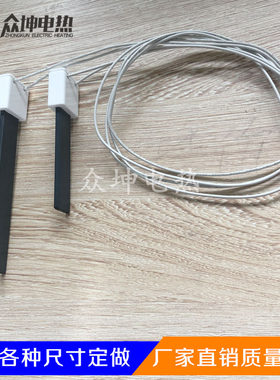 DK02/ROSHT劳斯特锅炉蒸汽发生器专用点火片点火器氮化硅点火棒