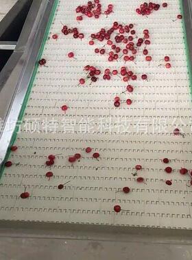 大型樱桃分选机重量分选机直径分拣机水果选果机等级分级机厂家