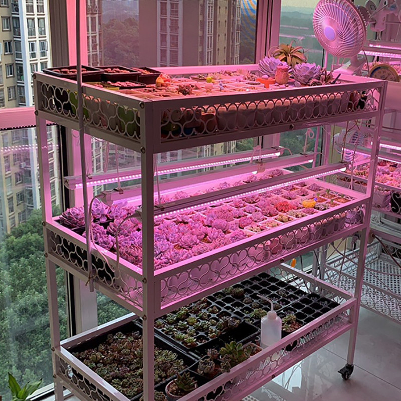 知三月带轮多肉花架落地铁艺多层移动防雨遮阳棚防鸟室外置物架