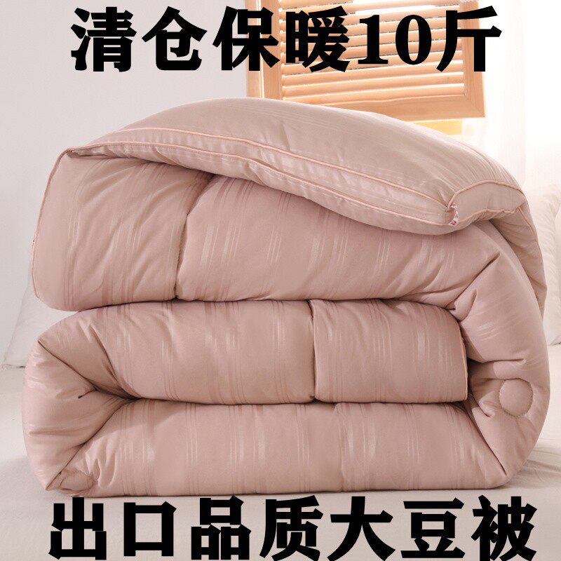 出口加厚大豆纤维冬被冬季保暖10斤九孔纤维被芯速暖超柔软厚被子