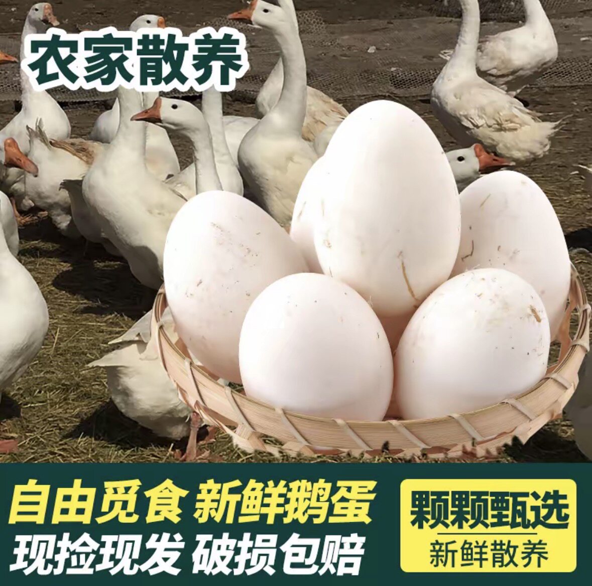【现捡现发】新鲜鹅蛋正宗农家散养土鹅蛋孕妇宝宝批发一整箱鹅蛋