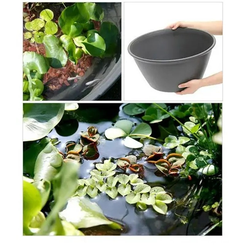 大号日式和风金鱼缸睡莲碗莲荷花水生植物庭院花园阳台造景花盆