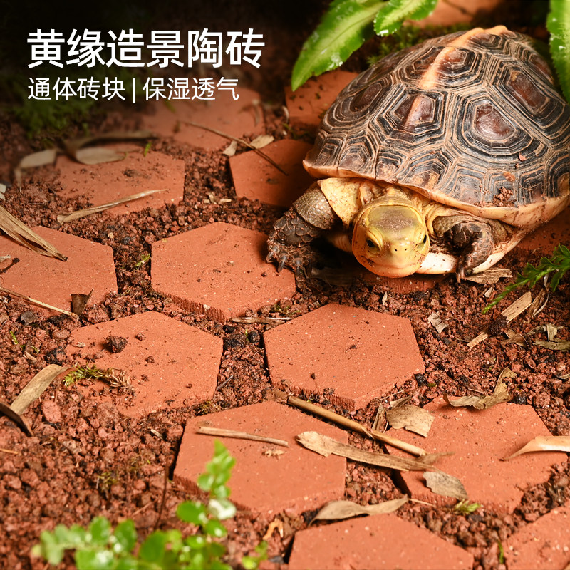 黄缘乌龟饲养箱生态造景地砖安缘半水龟布景材料石头摆件套餐用品