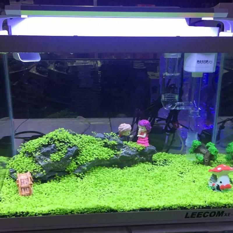 鳌虾鱼缸水族造景底砂石头装饰布景沙套餐珊瑚砂麦饭石青龙石包邮