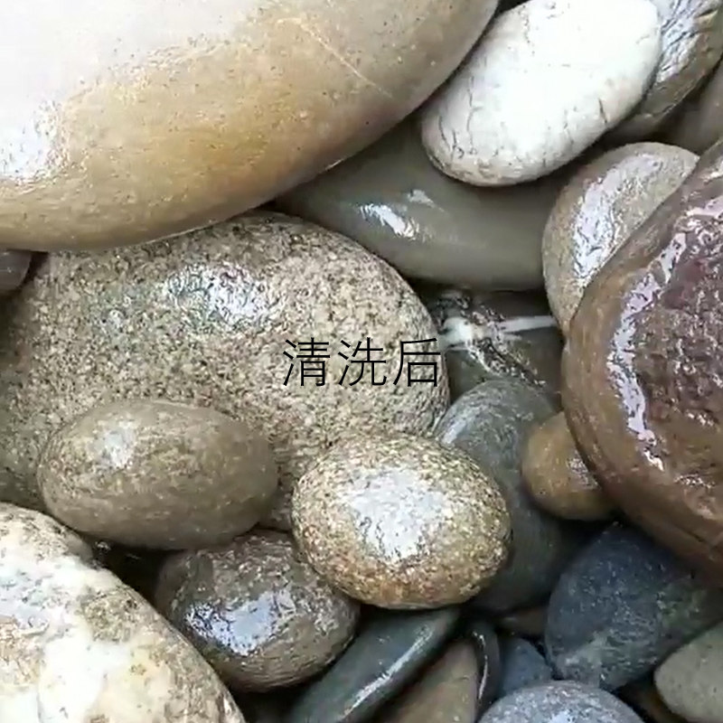 天然溪流石鹅卵石三湖慈鲷鱼缸造景石头乌龟晒台爬台晒背台原生缸