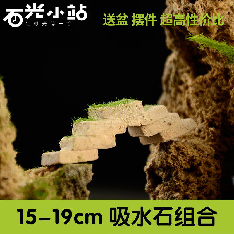 吸水石 假山石 盆景组合上水石中小型加湿装饰水秀石奇石石头套装