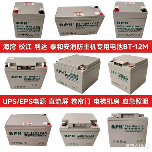 海湾GST泰和安松江天成利达消防主机蓄电池UPS应急备用12V24AH