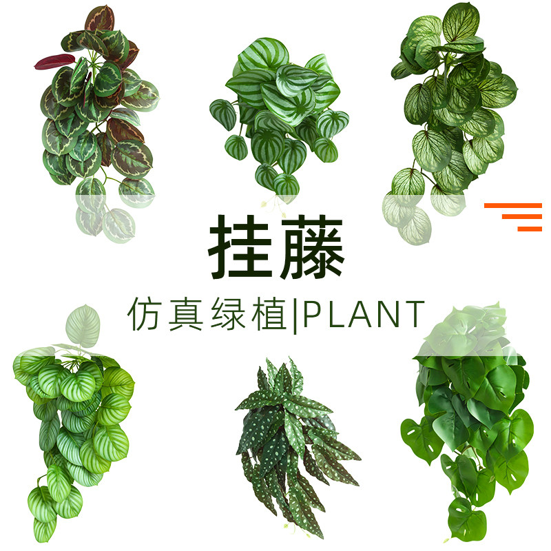 仿真把束叶竹芋植物墙藤条装饰室内外洞洞垂吊龟背壁挂爬藤挂藤草