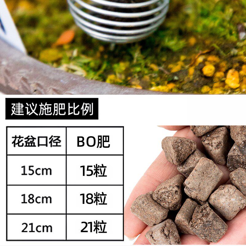 日本产植缓释肥BO颗粒肥三角肥有机肥Original玉肥松柏长效肥金宝
