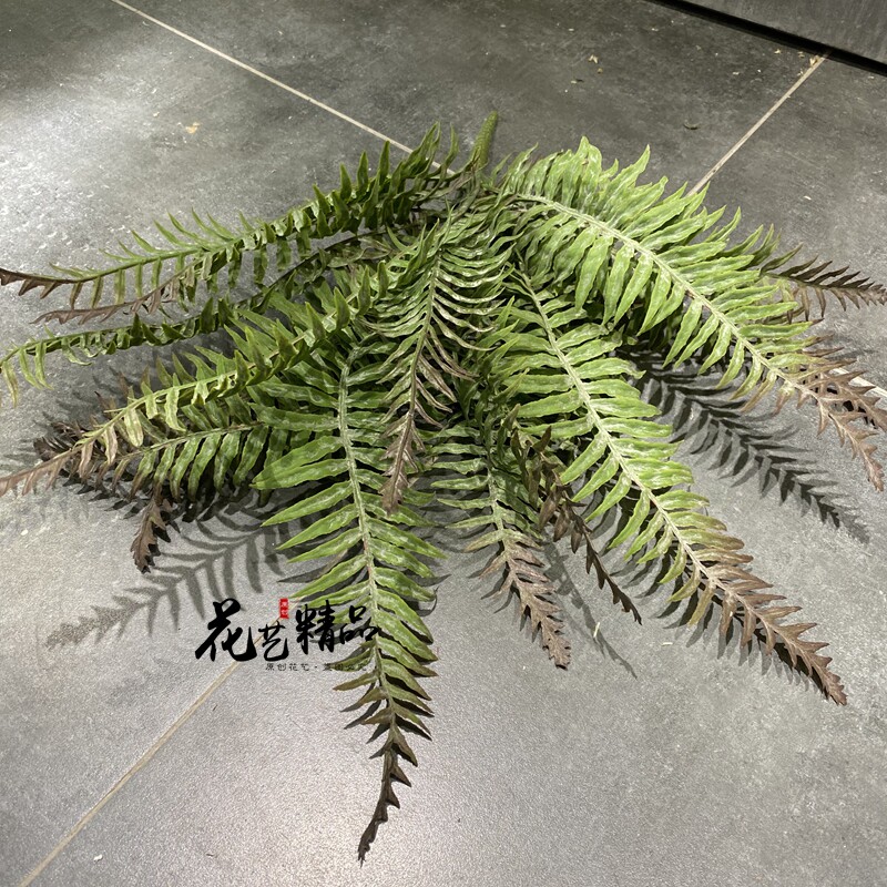 渐变色软胶蕨草铁线蕨排草植物墙配材插花装饰山草仿真草波士顿蕨