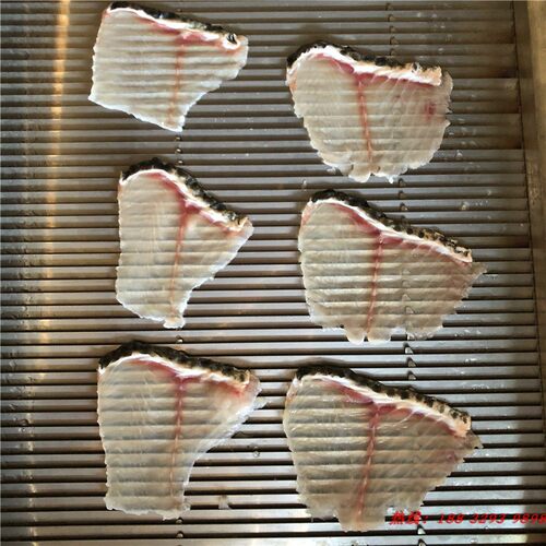 新商用全自动斜切鱼片机 小型黑鱼草鱼巴沙鱼切片机  肉类鱼片