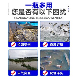 水产养殖专用鱼药泼洒姜耐运输诱食抗应激护鳞紧鳞用后光滑整洁