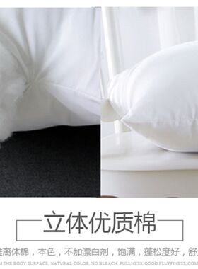 沙发抱枕芯子靠垫芯子腰枕头芯大靠枕芯4545/5555/6060/6565/4055
