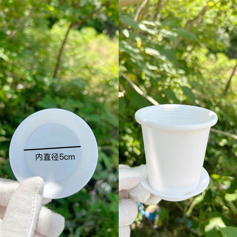 多肉花盆接水托盘 黑色圆形塑料托盘 花盆底托 小号花盆托盘