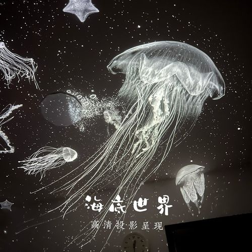 流星投影星空氛围灯卧室用USB插电简约风格小夜灯生日礼物