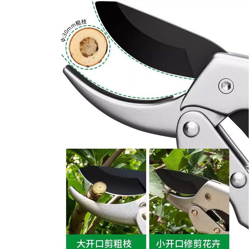 剪树枝专用剪刀强力粗枝剪子省力园艺园林修花果树花卉枝嫁接工具