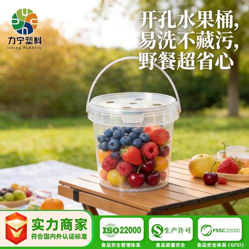 蓝莓采摘桶西瓜桶手提1kg车厘子包装桶升塑料桶带盖5L透明水果桶