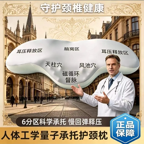 人体工学量子承托护颈枕记忆枕芯成人深睡枕颈椎按摩枕头磁石枕