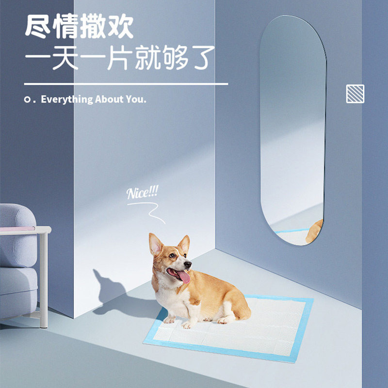 狗狗尿片宠物用品加厚吸水纸垫除臭泰迪尿不湿100片尿垫狗尿布