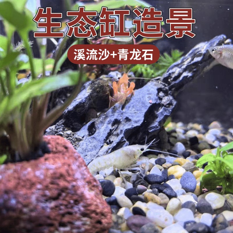 天然溪流石造景青龙石片岩石套餐鱼缸造景生态鱼缸底沙装饰水族用图片