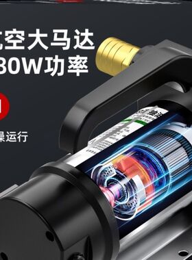 电动抽油泵12v24v220v伏正反转换机油柴油车箱抽油泵液压油耐高温