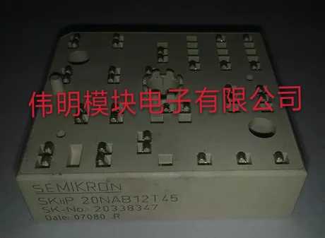 SKIIP20NAB12T18 SKIIP22NAB12T17 SKIIP20NAB12T45 20NAB12T46 - 实物图