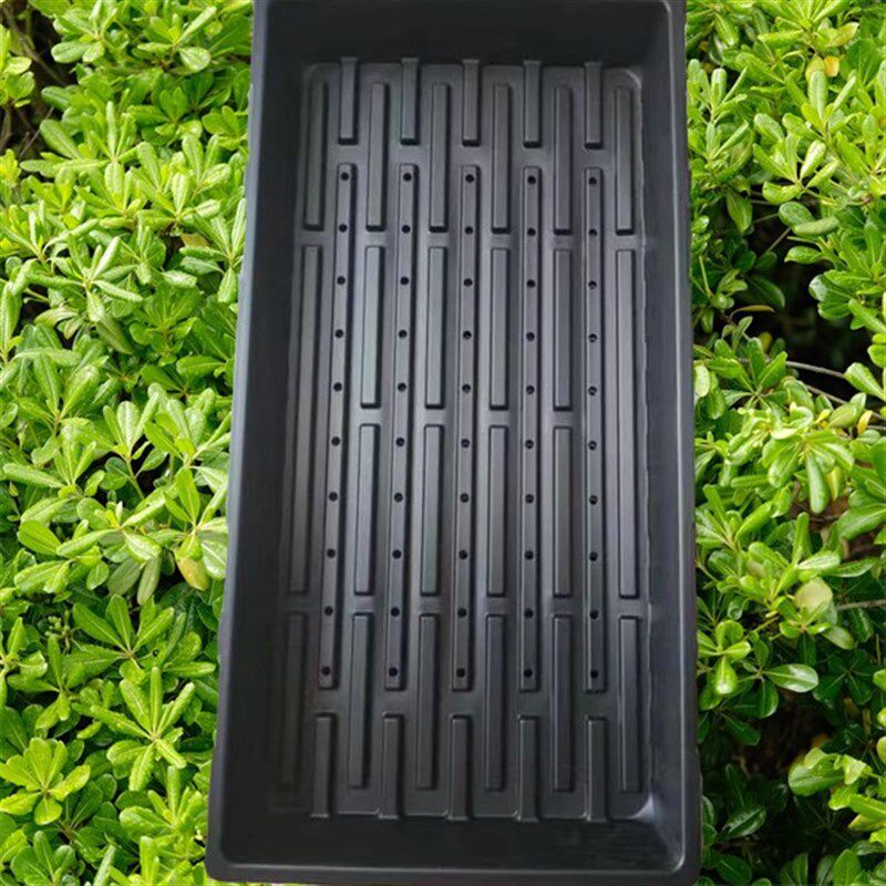 适用厂家直销芽苗菜多肉加厚无孔穴盘育苗盘托盘框整理框长方形花