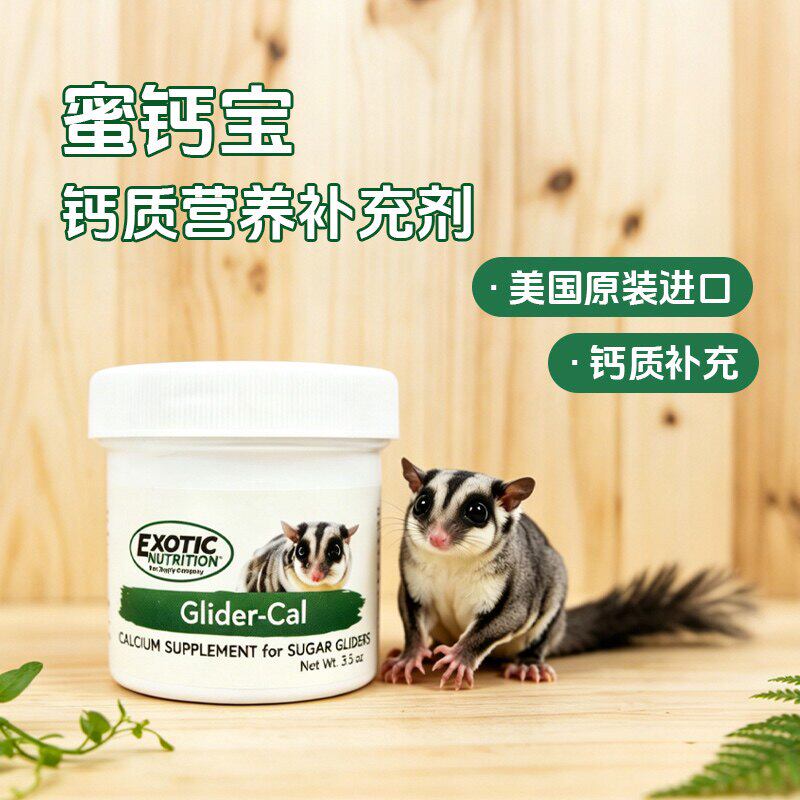 Exotic Nutrition伊哥硕蜜袋鼯专用钙粉营养补充剂宠物飞鼠补钙