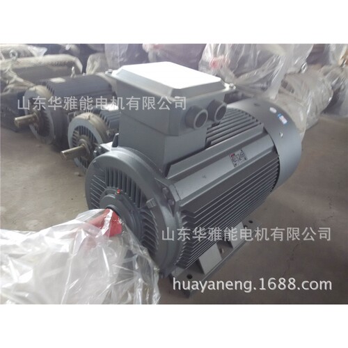 Y-H-160M-4-11船用电机盐雾环境用带德国编码器用户提供并安装