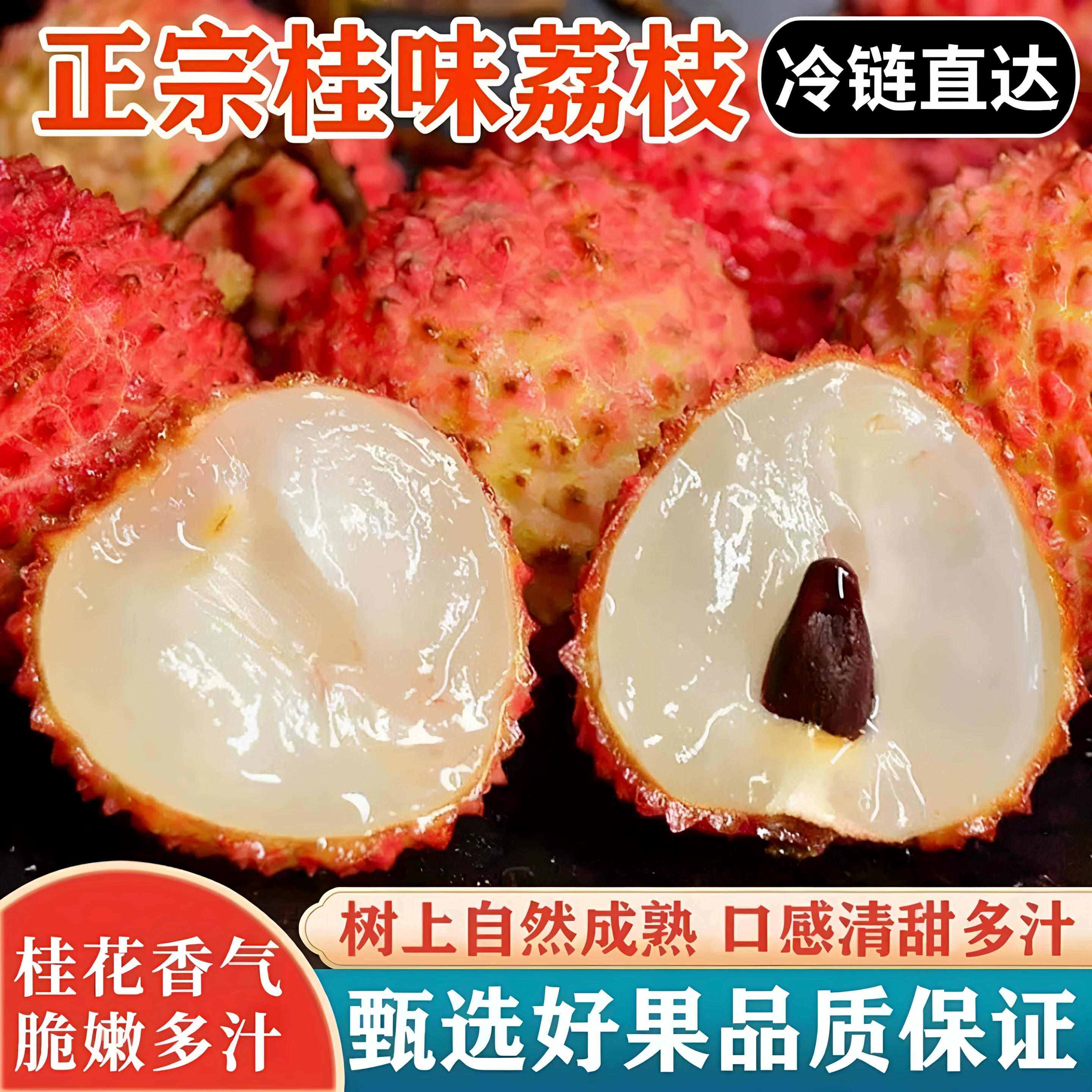 2026正宗特级广东增城桂味荔枝当季新鲜现摘时令水果整箱顺丰包邮