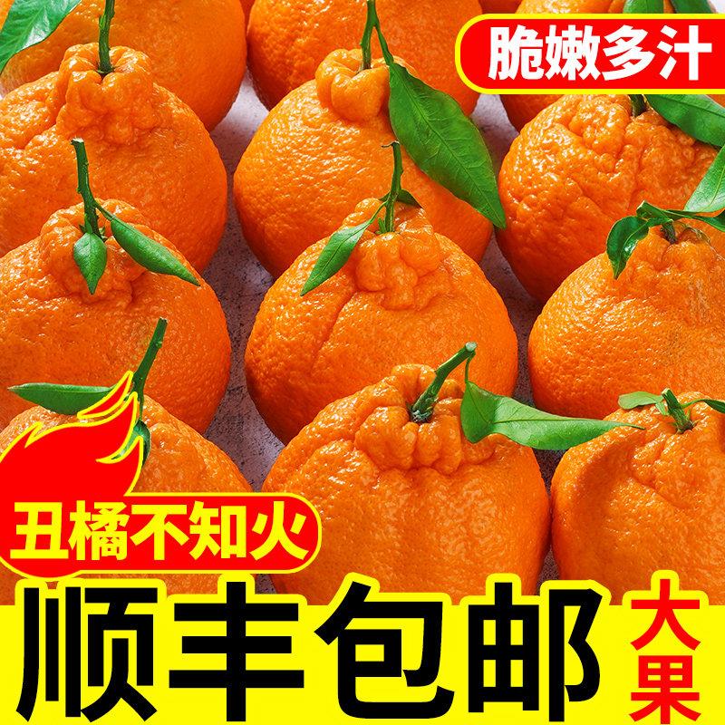 不知火丑橘新鲜水果桔子丑八怪柑桔子