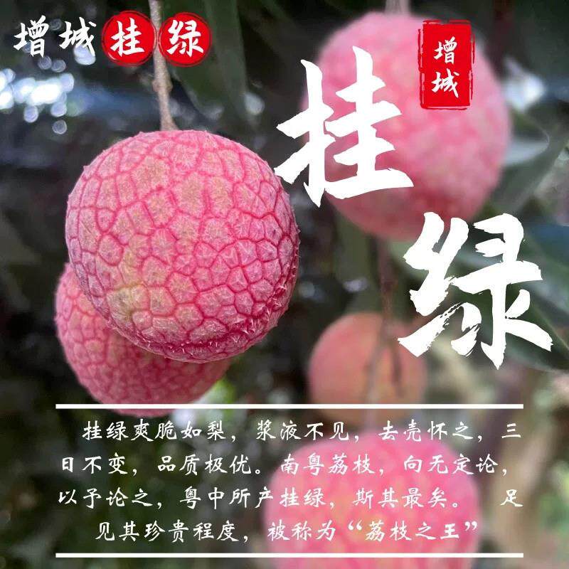 2026正宗特级广东增城挂绿荔枝当季新鲜现摘时令水果整箱顺丰包邮