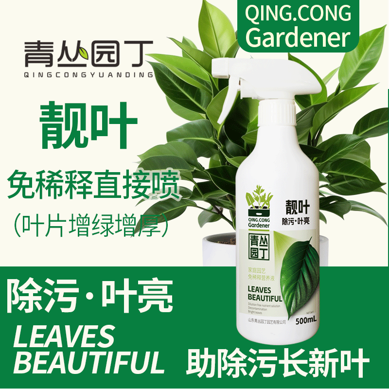 青丛园丁靓叶除污亮叶剂补水图片