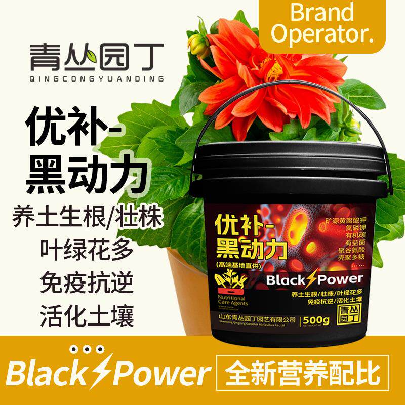 青丛园丁黑动力黄腐酸钾水溶肥图片