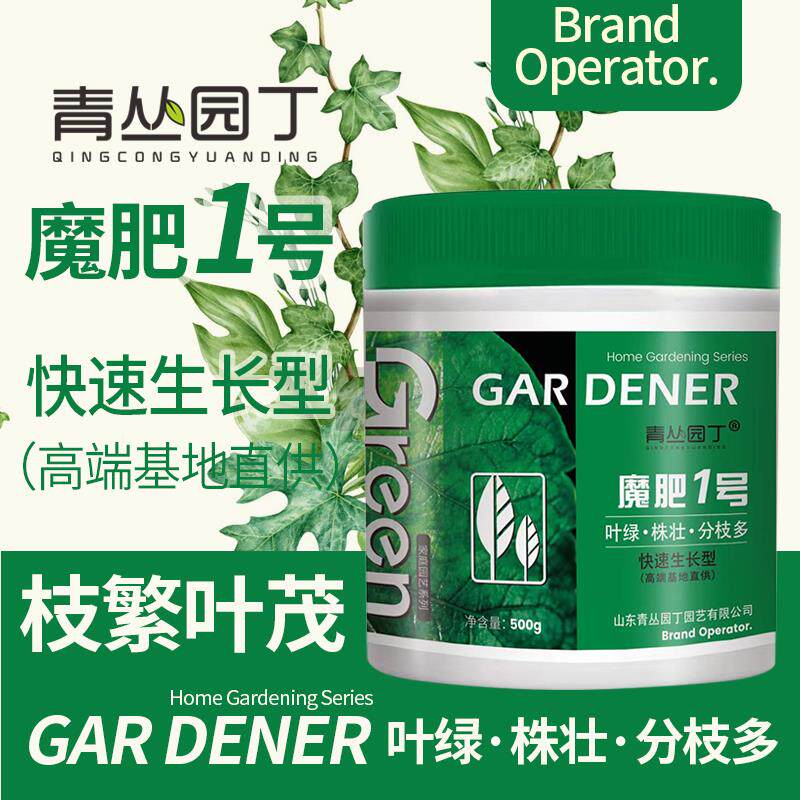 青丛园丁魔肥1号家庭盆栽图片