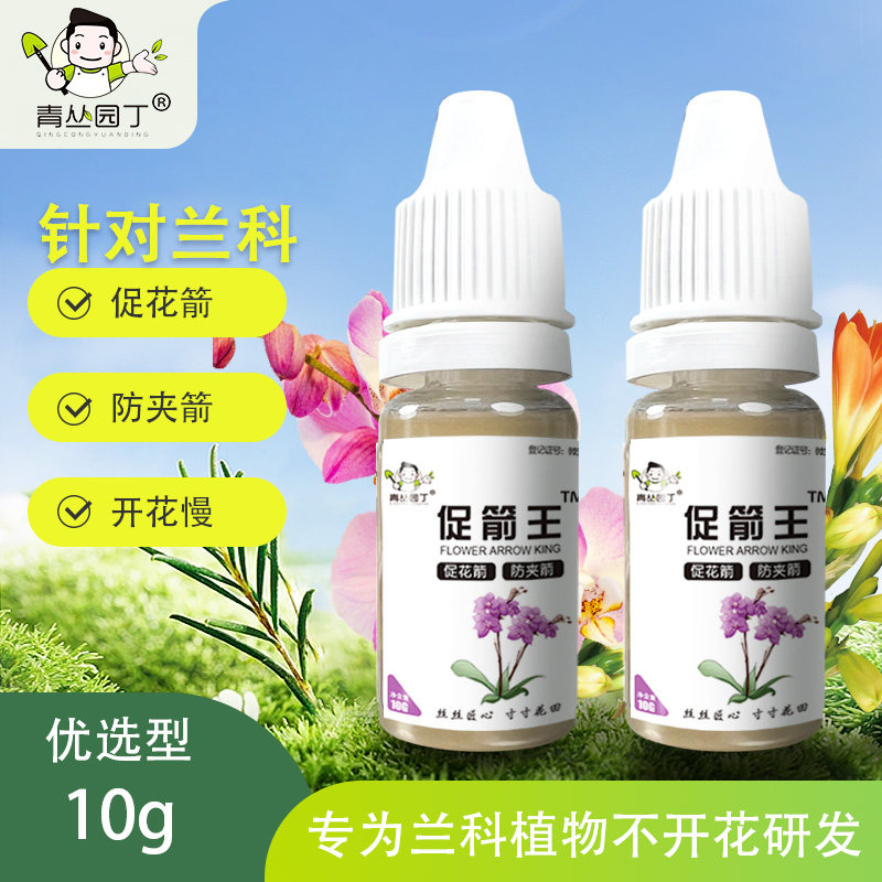 青丛园丁促箭王冒防夹蝴蝶图片