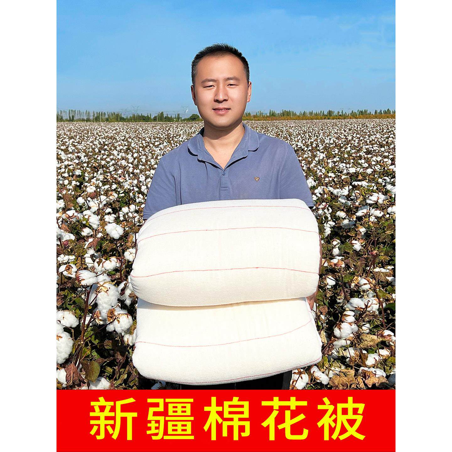 新疆长绒花被纯棉棉被子全TRT棉被芯棉垫床被褥子加厚保暖学生絮